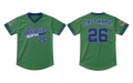 Arabia Mountain Baseball